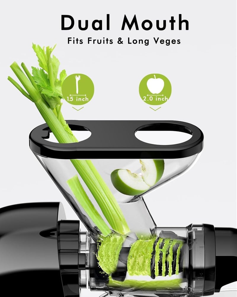 SIFENE Compact Single Auger Slow Masticating Juicer Machine, 280ml Cold Press Juice Extractor for Celery, Carrot, Ginger, Fruits & Leafy Greens, Easy to Clean, Dual Feed Chute, BPA-Free, Quiet Operati - Image 2